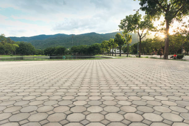 Best Driveway Paving Contractor  in Hot Springs, AR