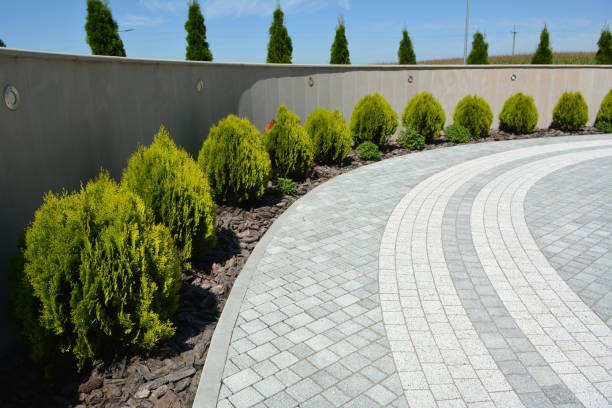 Professional Driveway Pavers in Hot Springs, AR